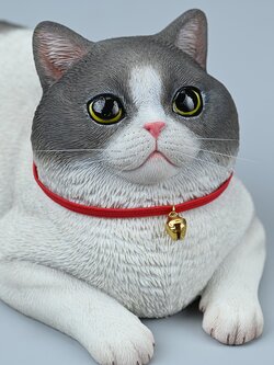 [สั่งจอง] JXK 1/3 : British Shorthair Cat