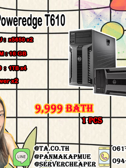 Dell Poweredge T610