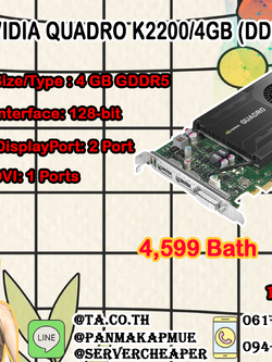 NVIDIA QUADRO K2200/4GB (DDR5)