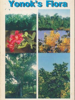 Yonok's Flora ภายในเล่มมีภาพพรรณไม้ต่างๆประกอบด้วยภาพสี เนื้อกระดาษมัน
