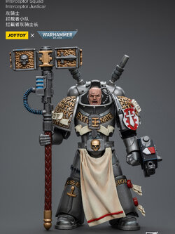 [สั่งจอง] JOYTOY Warhammer 40K 1/18 : Grey Knights