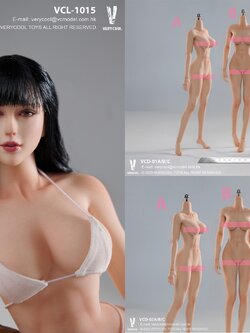 [สั่งจอง]VERYCOOL 1/6 : Seamless Female body