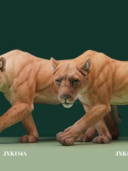 [สั่งจอง] JXK JXK154 1/6 : Lioness