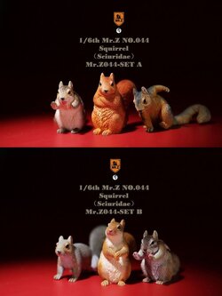 [สั่งจอง]Mr. Z Animal Model Mr.Z044 1/6th : Squirrell [Set A/B]