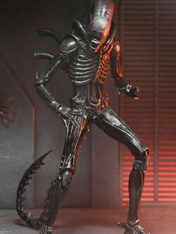 [สั่งจอง]Neca : Xenomorph XX121