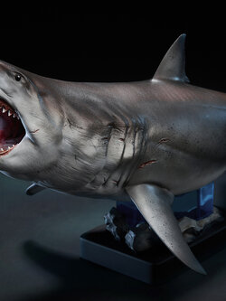 [สั่งจอง]W-Dragon 1/18 : Great White Shark