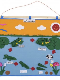 แผงวงจรชีวิตของกบ , ของเล่นเสริมพัฒนาการ, ของเล่น , สื่อการสอน , วงจรชีวิตกบ , วงจรชีวิตสัตว์