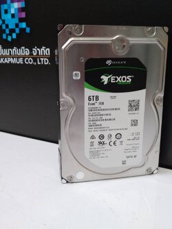 6000GB Seagate Enterprise Capacity ST6000NM0115 256MB 3.5" (8.9cm) SATA 6Gb/s