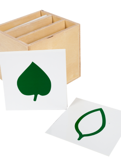 ตู้ใบไม้ 3 ชั้น พร้อมบัตรภาพ, ของเล่นไม้, ของเล่นเสริมพัฒนาการ, ของเล่นเด็กอนุบาล, สื่อการสอนเด็กอนุบาล,มอนเตสซอรี่ ,montessori, สื่อการสอนประถม