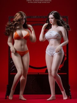 [สั่งจอง]TBLeague PLLB2020-S38 / S38A / S39 / S39A 1/6 Female Super-Flexible Seamless Bodies