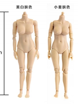 [สั่งจอง]HENG TOYS Seamless Steel Skeleton Joint 1/12 Body total 8 kinds