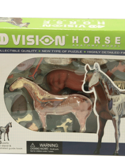 โมเดลม้า (4D Vision Horse) ,ของเล่นเสริมพัฒนาการ, ของเล่นเด็กอนุบาล, สื่อการสอนเด็กอนุบาล