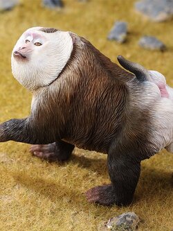[สั่งจอง]JXK JXK250 1/6 : Northern Pigtail Macaque Figurine