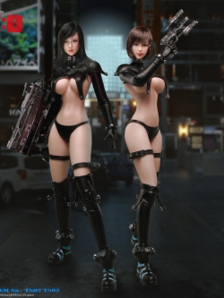 [สั่งจอง]TOYSEIIKI TS02/TS03/TS18 Gantz:o 1/6th Seamless Action Figure Reika /Anzu