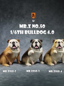 [สั่งจอง]MR.Z Mr.Z050 1/6th Bulldog V4.0 (all 5 colors)