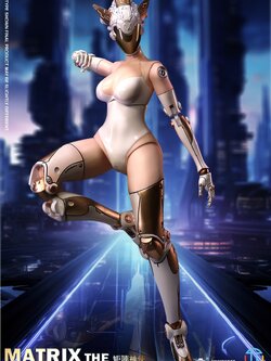 [สั่งจอง]COOMODEL x CTCOSTUDIO 1/6 : MATRIX - BATTLE ANGEL