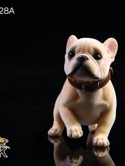[สั่งจอง]JxK.Studio JXK028 1/6 Tufted French Bulldog