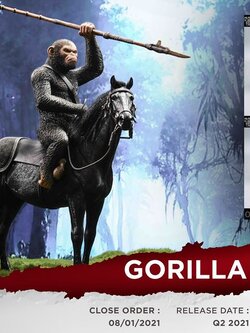 [สั่งจอง]Zeus Toys ZT002 1/12 : Gorilla Leader