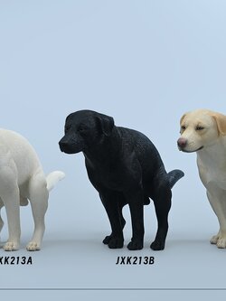 [สั่งจอง] JXK 1/6 : Labrador