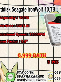 Harddisk Seagate IronWolf 10TB