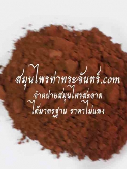 Areca nut / Areca nut palm / Areca palm / Betel nut palm / Betel Nuts Powder