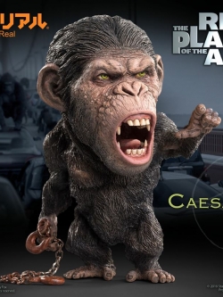 [สั่งจอง] Star Ace DF Caesar with Chain (Normal/Deluxe Ver.)