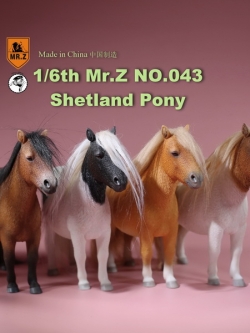 [สั่งจอง]น้องม้าน้อยโพนี่ 1/6 MR. Z Animal Model MRZ043 1/6th Shetland Pony(all 5 colors)