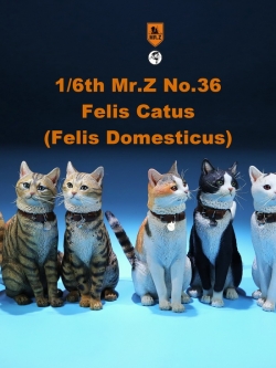 [สั่งจอง] Mr. Z Animal Model No.36: 1/6 Figure Felis Catus