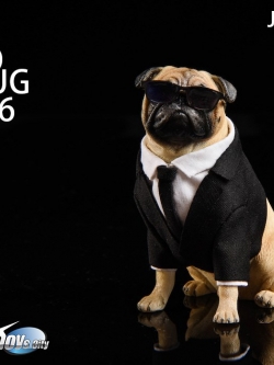 [สั่งจอง]JXK 1/6 JXK018 pug in Black-FRANK