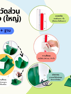 ไม้วัดส่วนสูงแบบตั้งพื้น มีไม้ทาบศีรษะ สำหรับโรงพยาบาล โรงเรียน ไม้วัดส่วนสูงเด็ก
