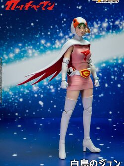 [พร้อมส่ง] Storm Toys GMKE02 1/12 : JUN THE SWAN G-3