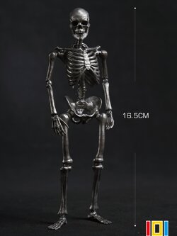 [พร้อมส่ง] "101TOYS 1/12 : PALM ELF SERIES SKELETON FRAME BOBY - NO.ES001 -Silver Edition"
