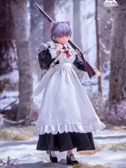 [สั่งจอง]HASUKI PA010 1/12 : Musketeer