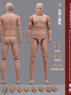 [สั่งจอง] MAHA studio 1/6 : ACTION BODY