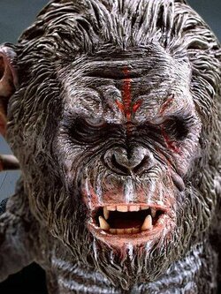 [สั่งจอง]Star Ace DF Dawn of the Planet of the Apes - Koba 2.0