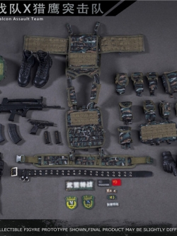 [สั่งจอง] FLAGSET FS-73026 1/6 PAP Shannante Team X Falcon Assault Team