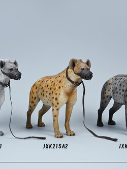 [สั่งจอง] JXK 1/6 : Hyena