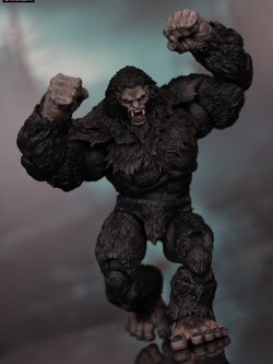 [สั่งจอง]Loosecollector : The Crypt - Skookum (10นิ้ว)