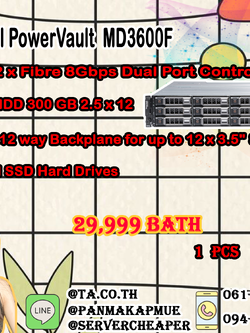 Dell PowerVault MD3600F