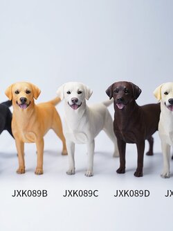 [สั่งจอง]JXK JXK089 1/6 : Labrador