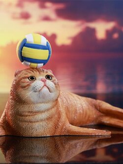 [สั่งจอง]JXK --- Seal Cat Meow Group ----