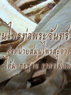 Dried Licorice / Chinese licorice / Russian licorice / Spanish licorice