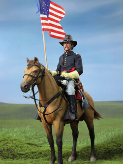 [สั่งจอง] DID E60076 1/6 : Civil War Brown War Horse (Standing)