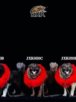 [สั่งจอง]JXK JXK050 1/6 : Caucasian Sheepdog