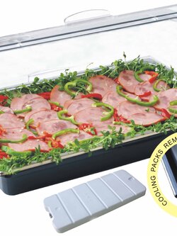 ถาดสแตนเลสและถาดเก็บ cooling pack พร้อมฝาครอบสไลด์