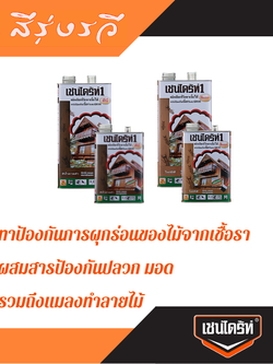 เชนไดร้ท์1 ทากันปลวก รักษาเนื้อไม้