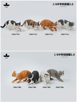[สั่งจอง] JXK JXK179 1/6 : Cat 3.0