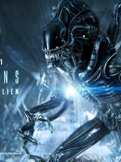 [สั่งจอง] Prime 1 Studio PMDHAL-02: Warrior Alien [Comics]