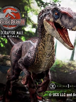 [สั่งจอง] Prime 1 Studio : LMCJP-10: Velociraptor Male (Jurassic Park 3)