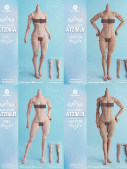 [สั่งจอง]Worldbox 1/6 : Girls Body